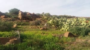 VillaVital natuur 10