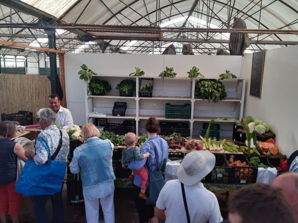 tips gezond goedkoop eten tips gezond goedkoop eten