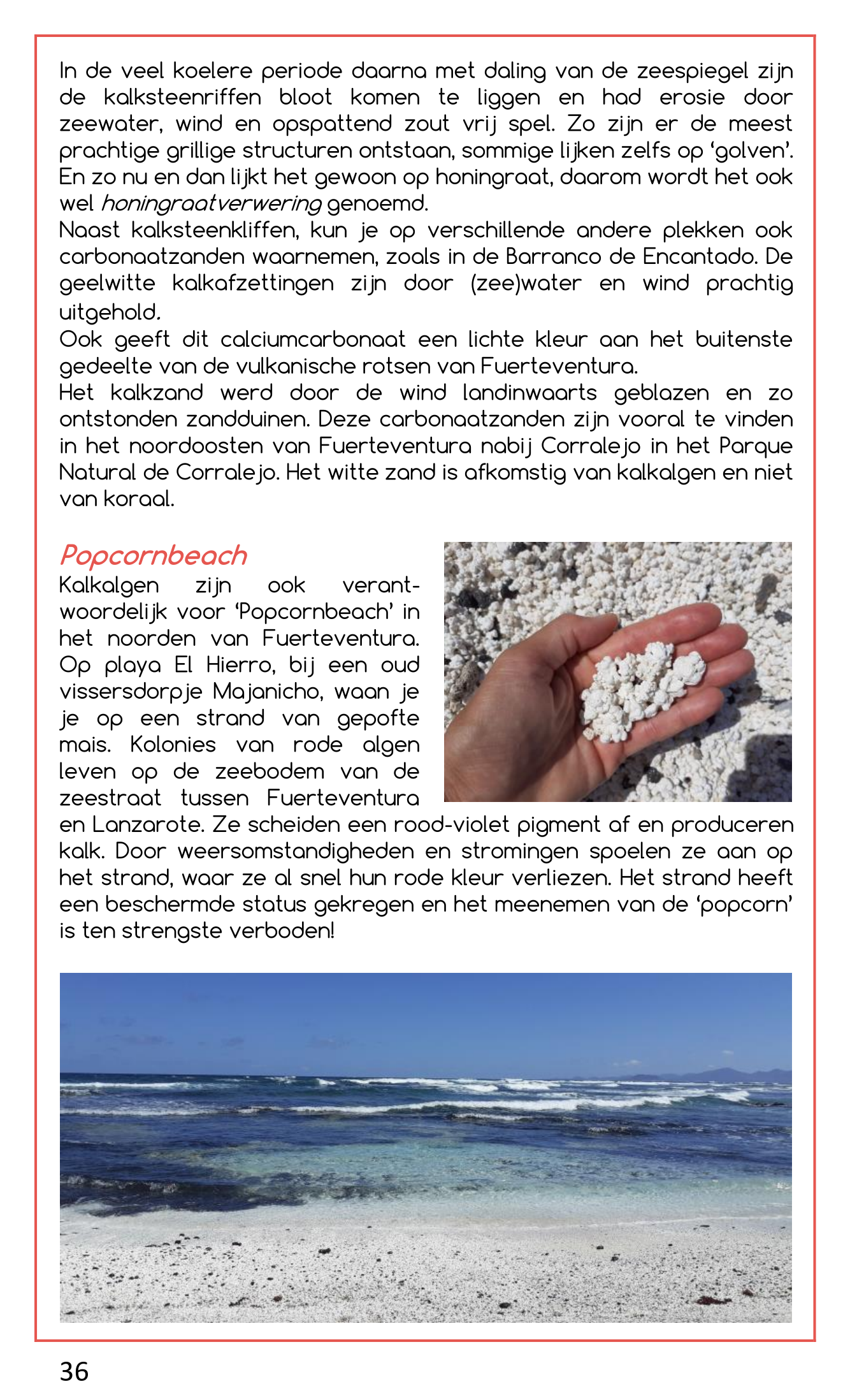 VVF wandelboek versie1 36